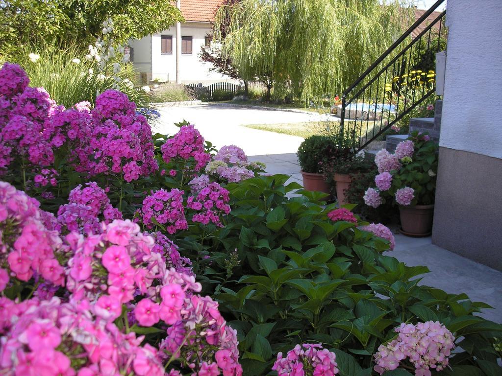 Guesthouse Vila Slunj Exterior photo